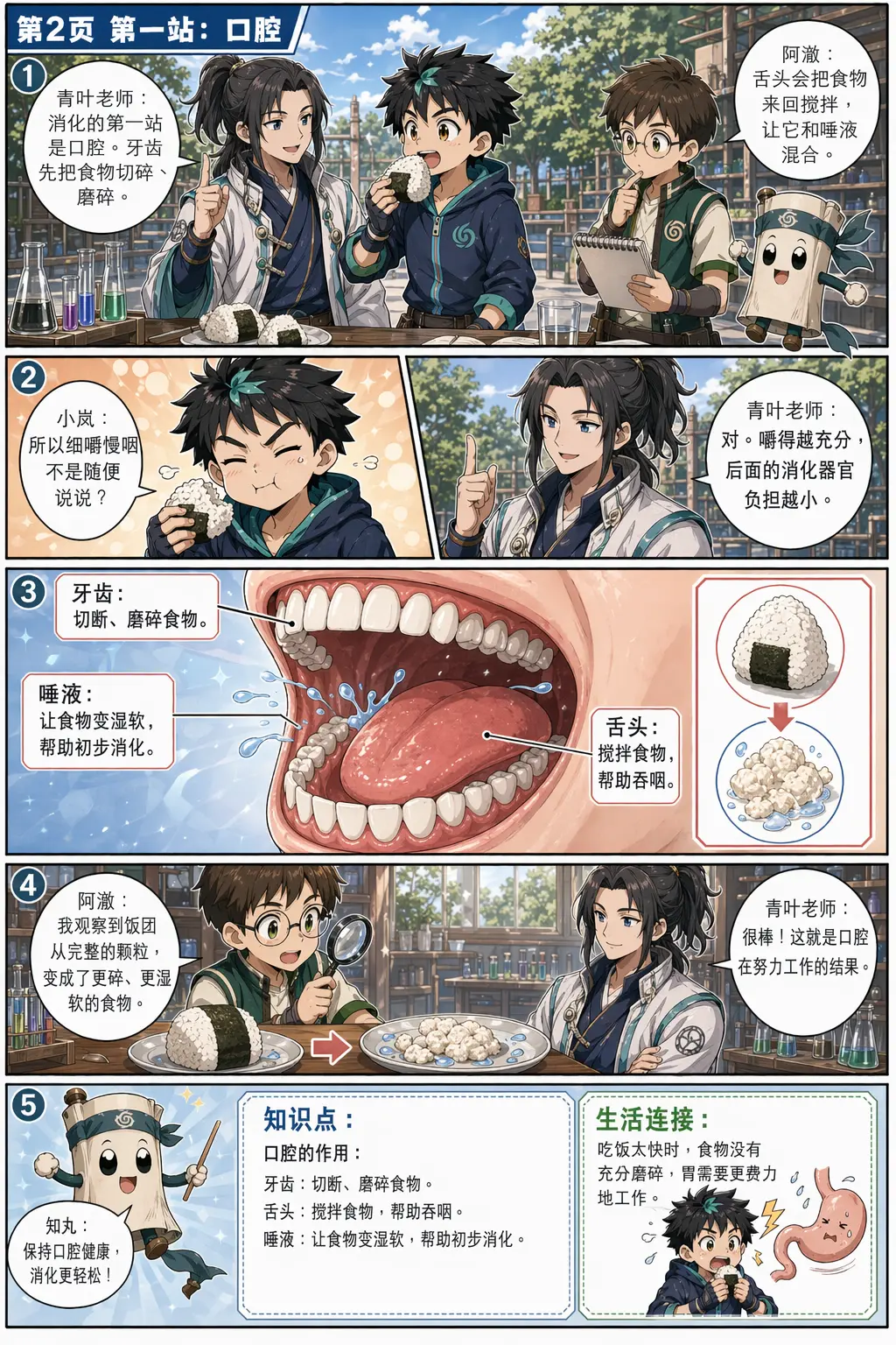 第 2 页：口腔